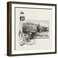 The Lower St. Lawrence, Home of the Pitcher Plant, Canada, Nineteenth Century-null-Framed Giclee Print