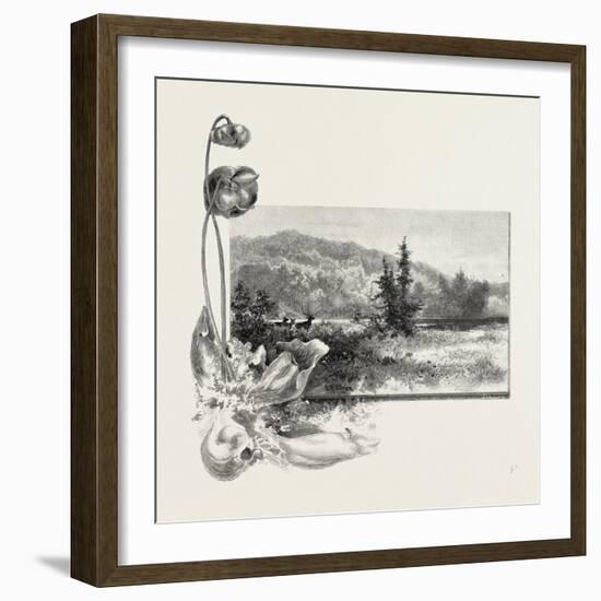 The Lower St. Lawrence, Home of the Pitcher Plant, Canada, Nineteenth Century-null-Framed Giclee Print