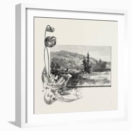 The Lower St. Lawrence, Home of the Pitcher Plant, Canada, Nineteenth Century-null-Framed Giclee Print