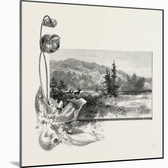 The Lower St. Lawrence, Home of the Pitcher Plant, Canada, Nineteenth Century-null-Mounted Giclee Print