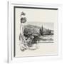 The Lower St. Lawrence, Home of the Pitcher Plant, Canada, Nineteenth Century-null-Framed Giclee Print