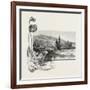 The Lower St. Lawrence, Home of the Pitcher Plant, Canada, Nineteenth Century-null-Framed Giclee Print