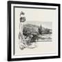 The Lower St. Lawrence, Home of the Pitcher Plant, Canada, Nineteenth Century-null-Framed Giclee Print