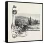 The Lower St. Lawrence, Home of the Pitcher Plant, Canada, Nineteenth Century-null-Framed Stretched Canvas