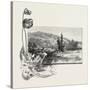 The Lower St. Lawrence, Home of the Pitcher Plant, Canada, Nineteenth Century-null-Stretched Canvas