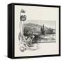 The Lower St. Lawrence, Home of the Pitcher Plant, Canada, Nineteenth Century-null-Framed Stretched Canvas