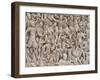 The Ludovisi Sarcophagus with High Relief Representation of the Romans Fighting the Barbarians-null-Framed Giclee Print