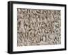 The Ludovisi Sarcophagus with High Relief Representation of the Romans Fighting the Barbarians-null-Framed Giclee Print