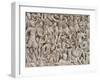 The Ludovisi Sarcophagus with High Relief Representation of the Romans Fighting the Barbarians-null-Framed Giclee Print