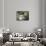 The Luncheon-Claude Monet-Mounted Art Print displayed on a wall