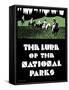 The Lure of the National Parks-null-Framed Stretched Canvas