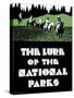 The Lure of the National Parks-null-Stretched Canvas