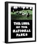 The Lure of the National Parks-null-Framed Giclee Print