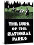 The Lure of the National Parks-null-Stretched Canvas