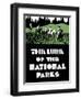 The Lure of the National Parks-null-Framed Premium Giclee Print