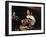 The Lute-Player-Caravaggio-Framed Art Print