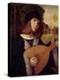 The Lute Player-Giovanni de Busi Cariani-Stretched Canvas