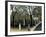 The Luxembourg Gardens, Monument to Chopin, 1909-Henri Rousseau-Framed Giclee Print