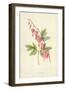 The Lyre Flower-Frederick Edward Hulme-Framed Giclee Print