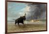 The 'Ma Roberts' and an Elephant in the Shallows, Lower Zambezi, 1859-Thomas Baines-Framed Giclee Print