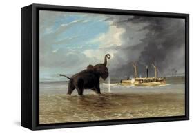 The 'Ma Roberts' and an Elephant in the Shallows, Lower Zambezi, 1859-Thomas Baines-Framed Stretched Canvas