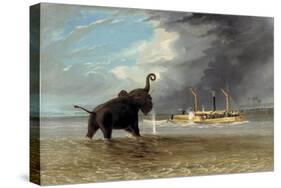The 'Ma Roberts' and an Elephant in the Shallows, Lower Zambezi, 1859-Thomas Baines-Stretched Canvas