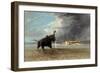 The 'Ma Roberts' and an Elephant in the Shallows, Lower Zambezi, 1859-Thomas Baines-Framed Giclee Print