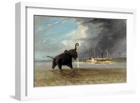 The 'Ma Roberts' and an Elephant in the Shallows, Lower Zambezi, 1859-Thomas Baines-Framed Giclee Print