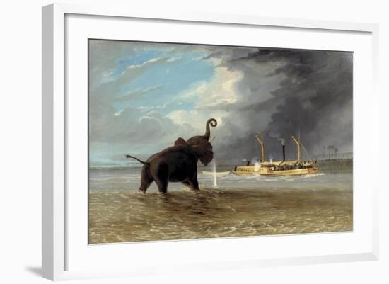 The 'Ma Roberts' and an Elephant in the Shallows, Lower Zambezi, 1859-Thomas Baines-Framed Giclee Print