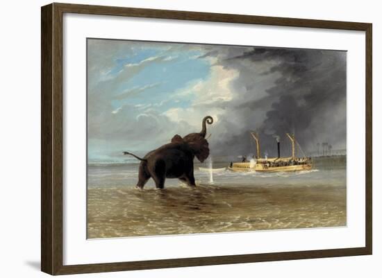 The 'Ma Roberts' and an Elephant in the Shallows, Lower Zambezi, 1859-Thomas Baines-Framed Giclee Print