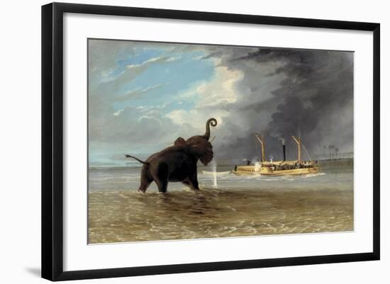 The 'Ma Roberts' and an Elephant in the Shallows, Lower Zambezi, 1859-Thomas Baines-Framed Giclee Print