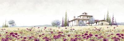 Tuscany Poppies-The Macneil Studio-Giclee Print