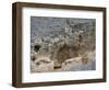 The Madara Rider, an 8th Century Relief Depicting a King on Horseback Carved into Rockface, UNESCO -Dallas & John Heaton-Framed Photographic Print