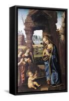 The Madonna and Angels Adoring the Child-Luca Baudo-Framed Stretched Canvas