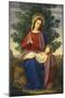 The Madonna and Child, 1855-Julius Schnorr von Carolsfeld-Mounted Giclee Print