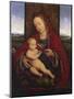 The Madonna and Child Enthroned-Cornelis van Cleve-Mounted Giclee Print