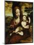 The Madonna and Child in a Landscape-Cornelis van Cleve-Mounted Giclee Print