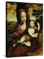 The Madonna and Child in a Landscape-Cornelis van Cleve-Stretched Canvas