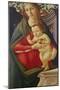 The Madonna and Child in a Niche Decorated with Roses-Sandro Botticelli-Mounted Giclee Print