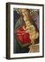 The Madonna and Child in a Niche Decorated with Roses-Sandro Botticelli-Framed Giclee Print