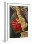 The Madonna and Child in a Niche Decorated with Roses-Sandro Botticelli-Framed Giclee Print