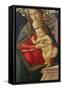The Madonna and Child in a Niche Decorated with Roses-Sandro Botticelli-Framed Stretched Canvas