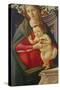 The Madonna and Child in a Niche Decorated with Roses-Sandro Botticelli-Stretched Canvas