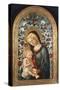 The Madonna and Child with Roses (Late 15th Century)-Cleofas Almanza-Stretched Canvas