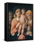 The Madonna and Child with Saints Joseph, Elizabeth, and John the Baptist-Andrea Mantegna-Framed Stretched Canvas