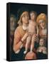 The Madonna and Child with Saints Joseph, Elizabeth, and John the Baptist-Andrea Mantegna-Framed Stretched Canvas