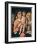 The Madonna and Child with Saints Joseph, Elizabeth, and John the Baptist-Andrea Mantegna-Framed Giclee Print