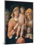 The Madonna and Child with Saints Joseph, Elizabeth, and John the Baptist-Andrea Mantegna-Mounted Giclee Print