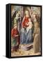 The Madonna and Child with Saints Julian and Francis-Francesco Di Stefano Pesellino-Framed Stretched Canvas