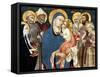 The Madonna and Child with Saints, Mid 15th Century-Sano di Pietro-Framed Stretched Canvas